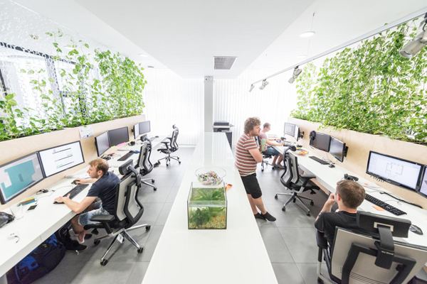 Modern Office Interior With Indoor Plants