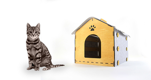 Indoor Cat House With Easy Take Anywhere