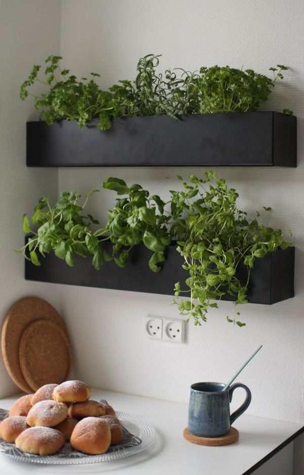 25 Creative DIY Indoor Herb Garden Ideas