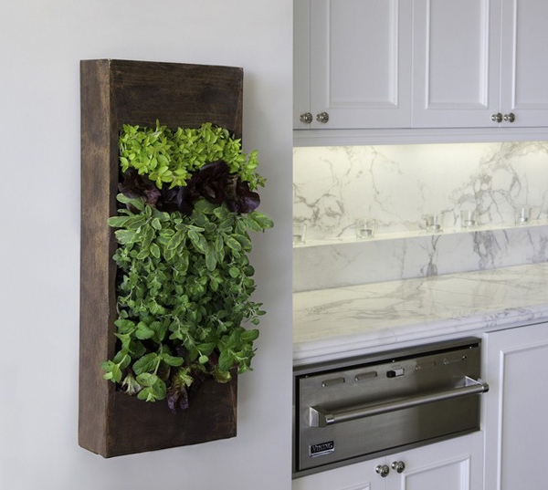 25 Creative DIY Indoor Herb Garden Ideas