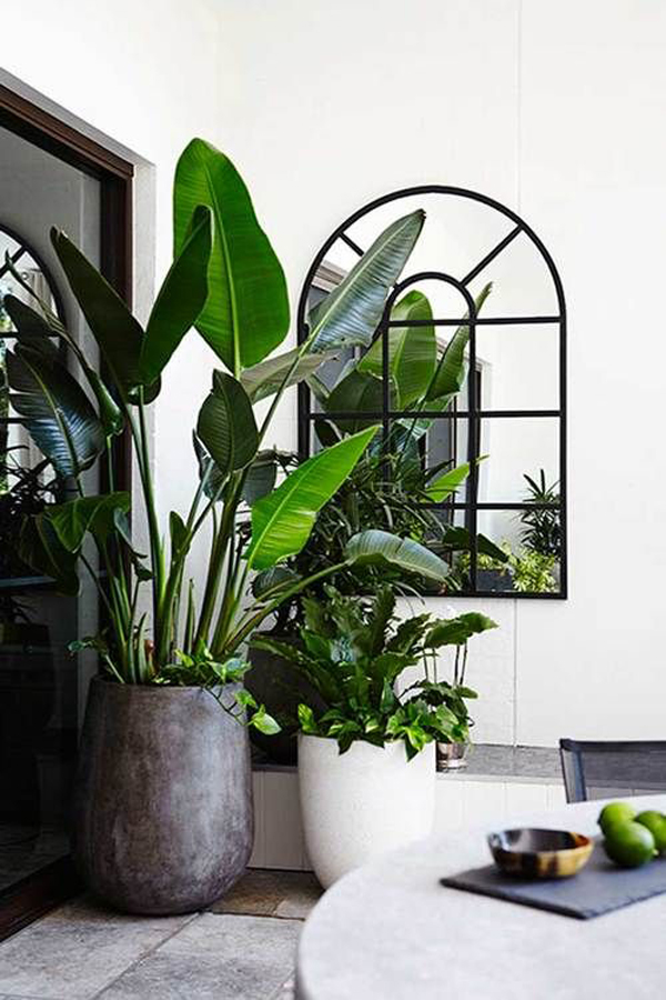20 Tropical Leaf Decor Into Your Interior