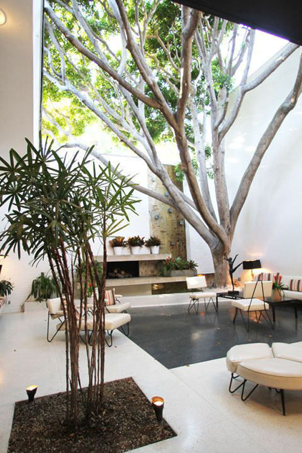 Save the Tree: 15 Unique Houses with Trees Inside