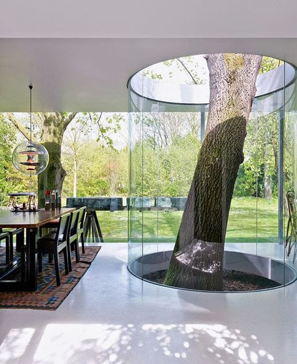 Save the Tree: 15 Unique Houses with Trees Inside