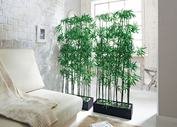 15 Natural Plant Wall Ideas for Room Dividers