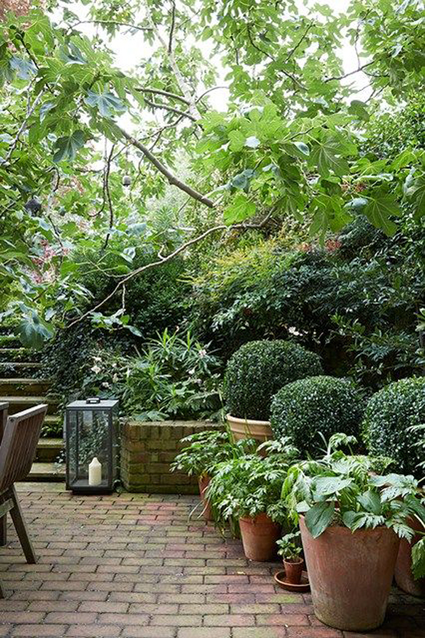 22 Shady And Fresh Gardens To Urban Jungle Ideas | House 