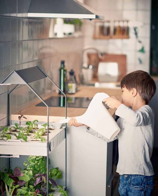 Modern and Inovative Ways to Indoor Gardening Ideas