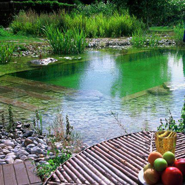 30 Natural Pond And Swimming Pool Designs For Relaxing