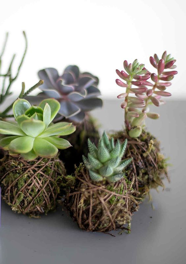 25 Cute DIY Kokedama Ideas To Grow Your Plants