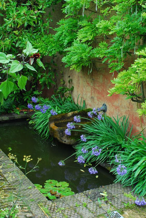 nature-pond-design-surrounded-by-plan