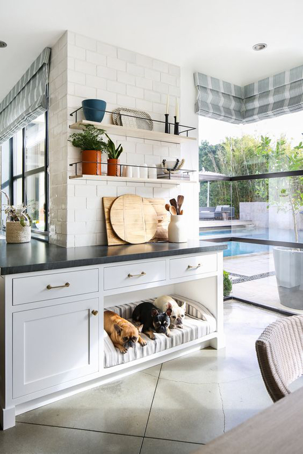 small-dog-space-ideas-under-kitchen-cabinet