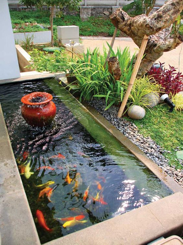 trendy-small-fish-pond-decor