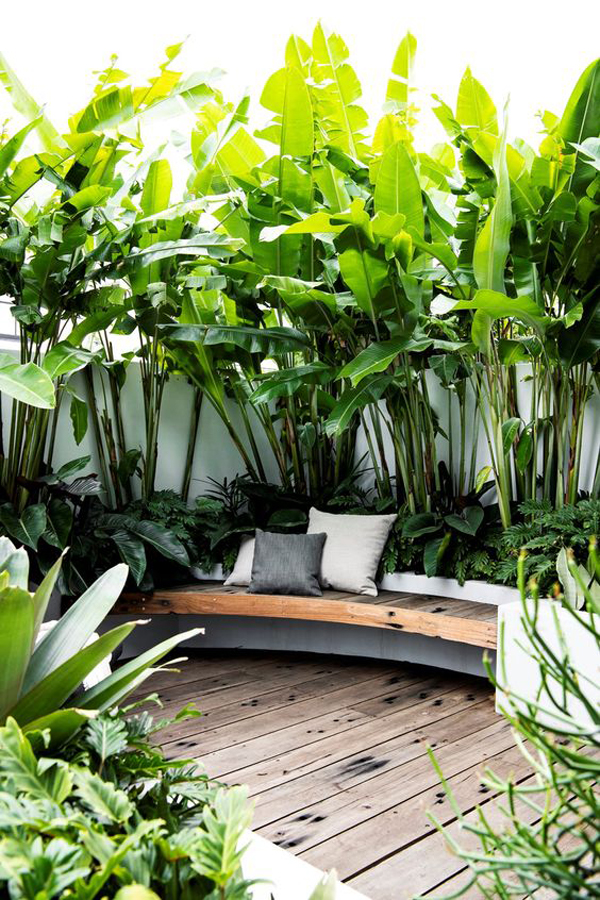 10 Trendy Tropical Garden Ideas To, Tropical Landscaping Ideas For Backyard
