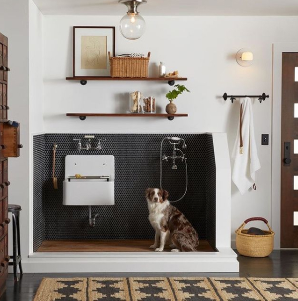 luxury-dog-wash-station-with-boho-style