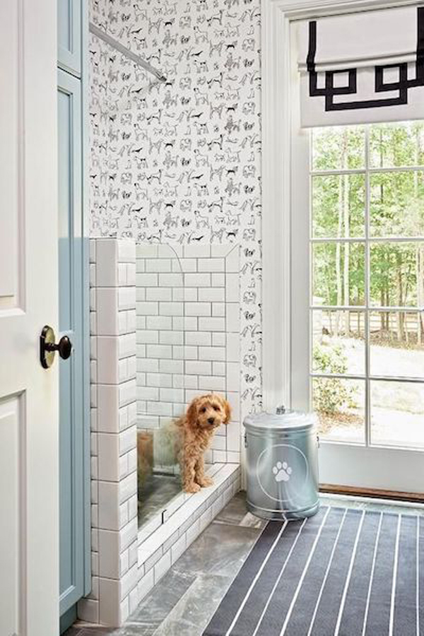 modern-and-bright-dog-wash-station-in-entryway