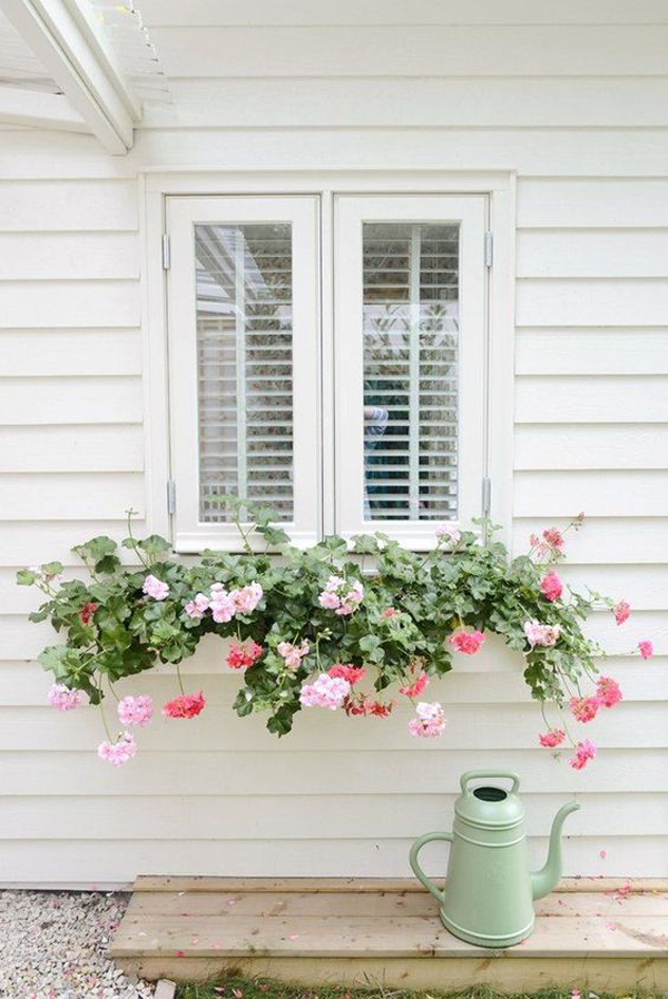 farmhouse-style-window-flower-box