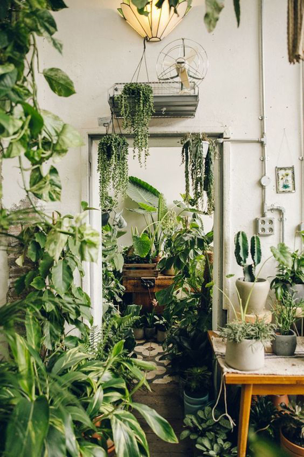 conservatory-jungle-house-interior-design