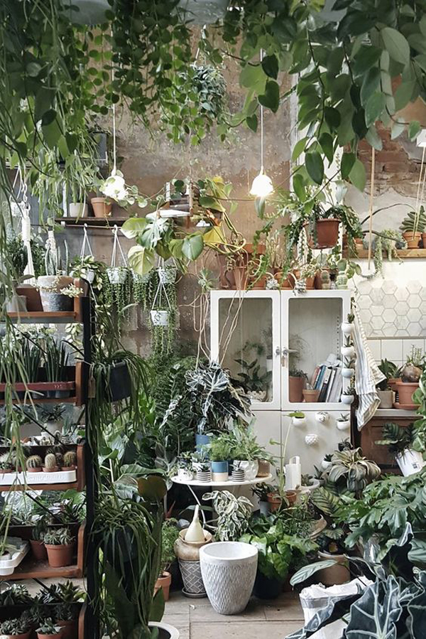 dreamy-jungle-interior-with-houseplant-decor