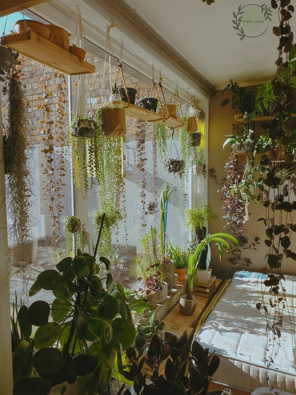 jungle-house-with-greenery-curtains