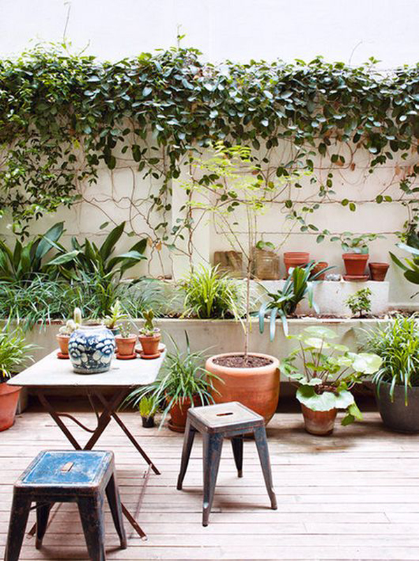 modern-urban-patios-with-jungle-theme
