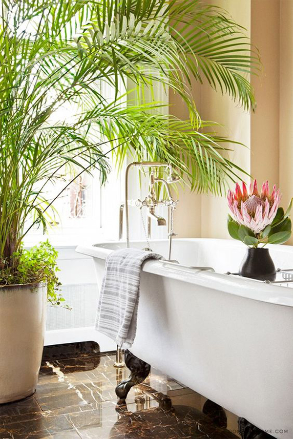 nature-summer-bathroom-with-indoor-plants