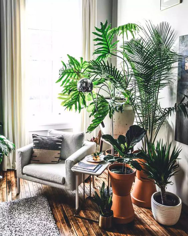 perfect-indoor-outdoor-reading-nook-with-indoor-plants