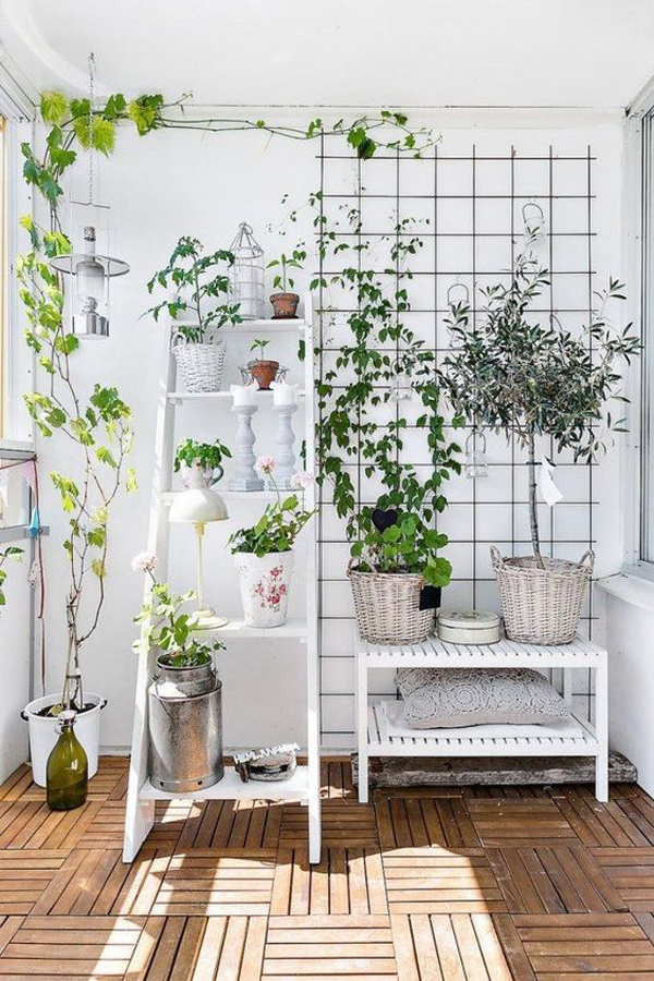 shabby-chic-plant-trellis-for-limited-space