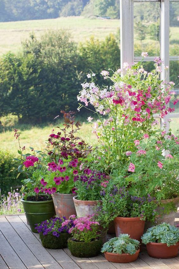 small-garden-plant-decor-with-pots