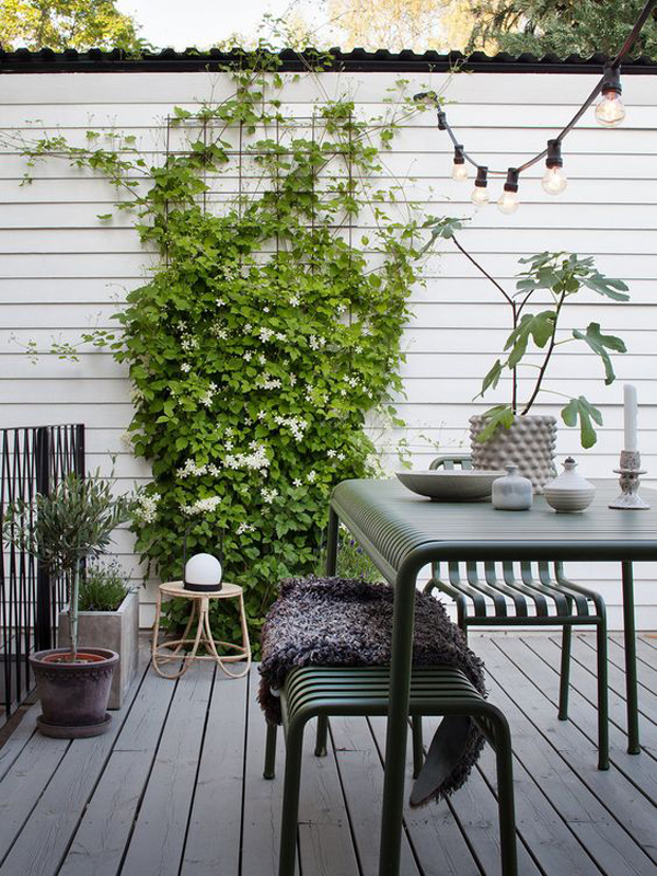 trendy-plant-trellis-wall-for-patios