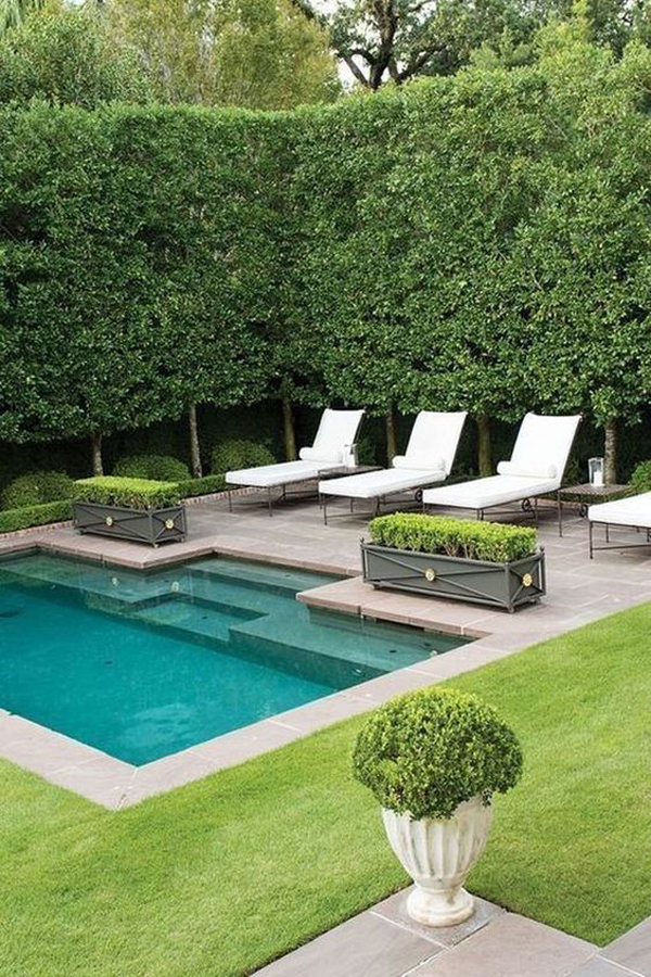 backyard-cocktail-pool-landscaping-ideas