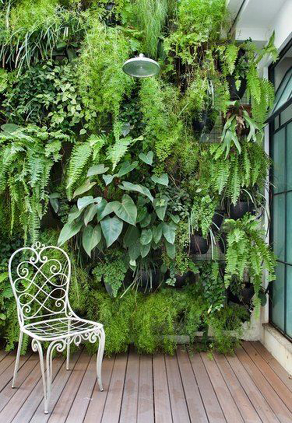 cozy-small-deck-with-lush-vertical-garden