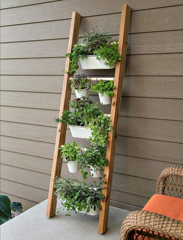 diy-vertical-garden-ideas-with-ladder
