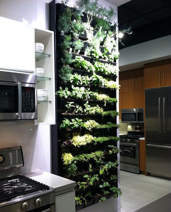 herb-vertical-garden-wall-for-kitchen