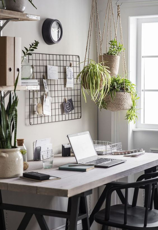 modern-home-office-decor-with-hanging-plant