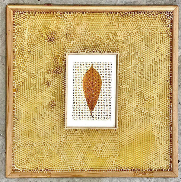 tulip-tree-leaf-bee-collaboration-artwork