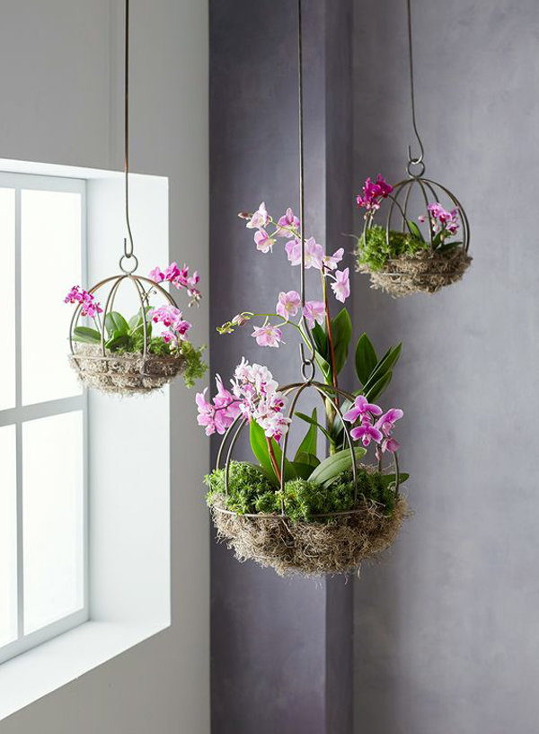 orchid-hanging-flower-ideas