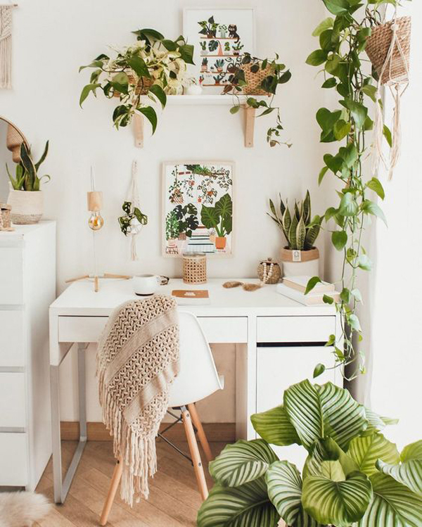 home-office-plant-decor