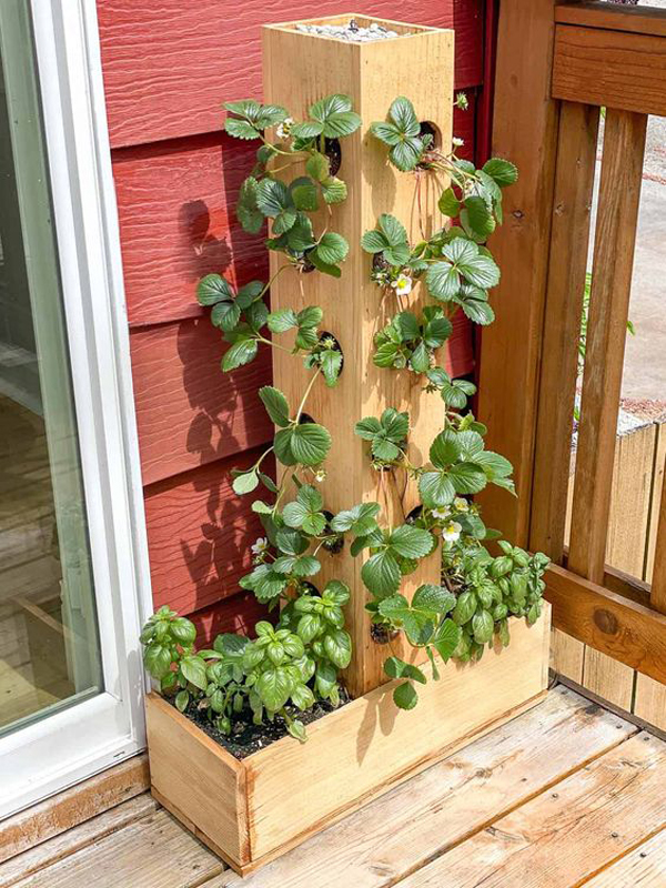 unique-diy-woodworking-for-strawberry-tower-planting