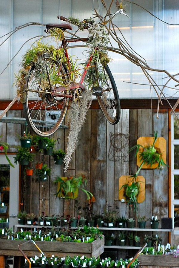 bicycle-planter-decor-on-the-air