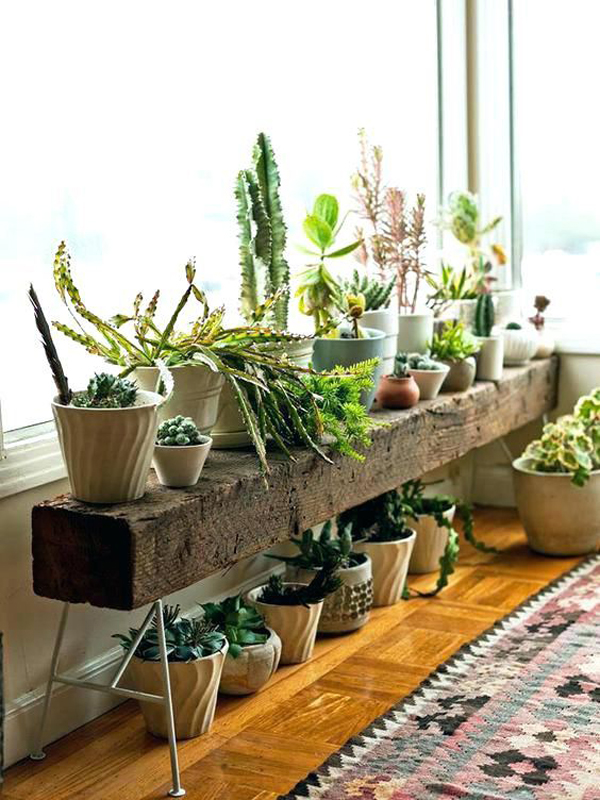 wood-beam-plant-stand-with-iron-legs