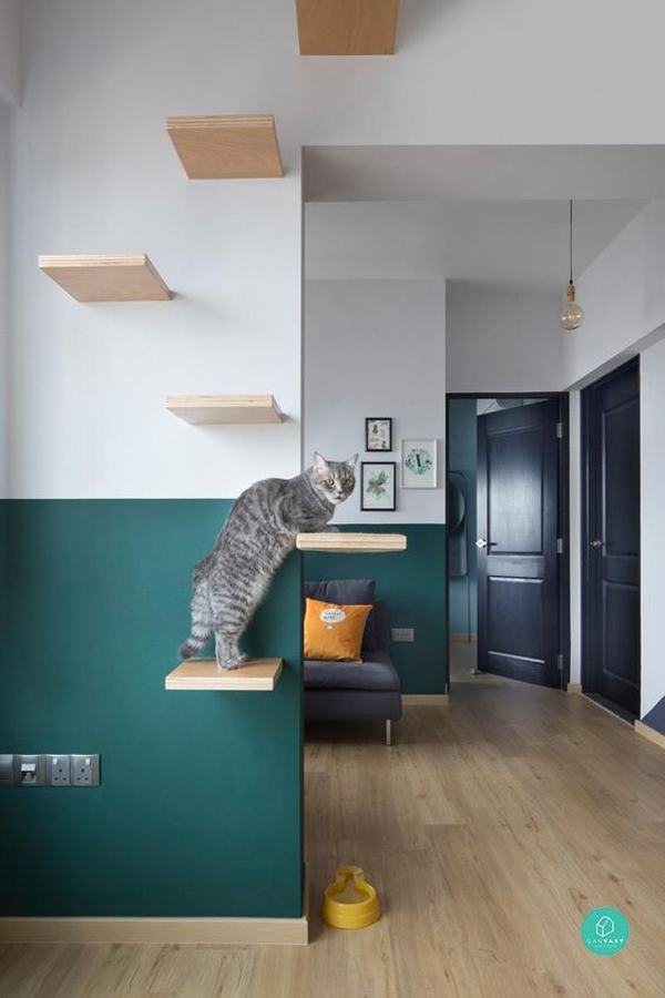cat-friendly-playground-in-the-house