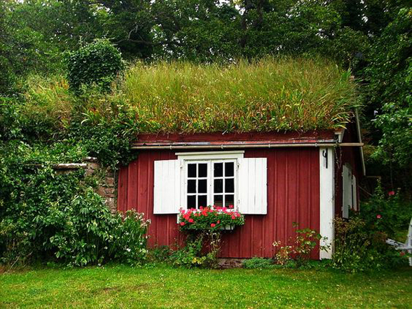 colorful-garden-shed-with-green-roof