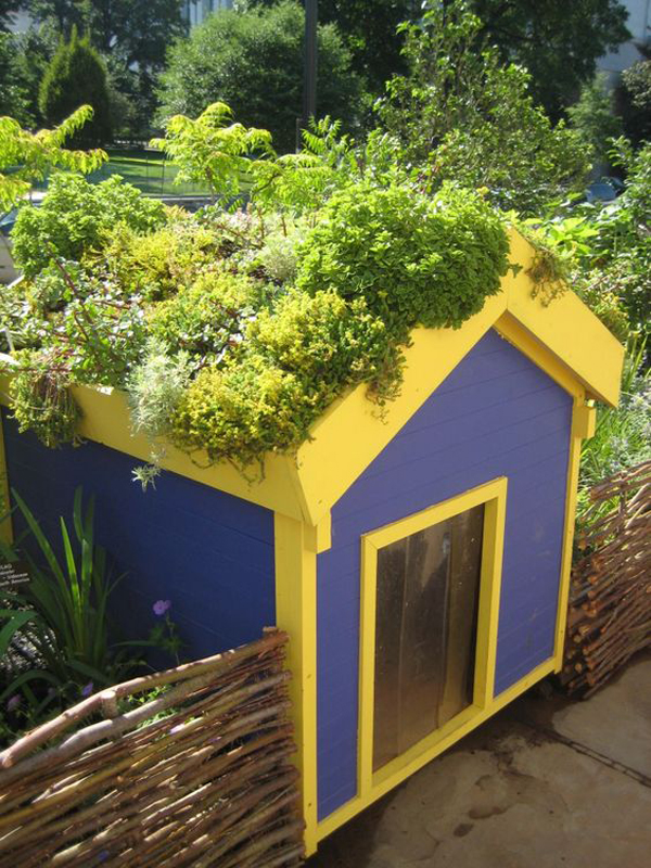 colorful-garden-sheds-with-green-roof