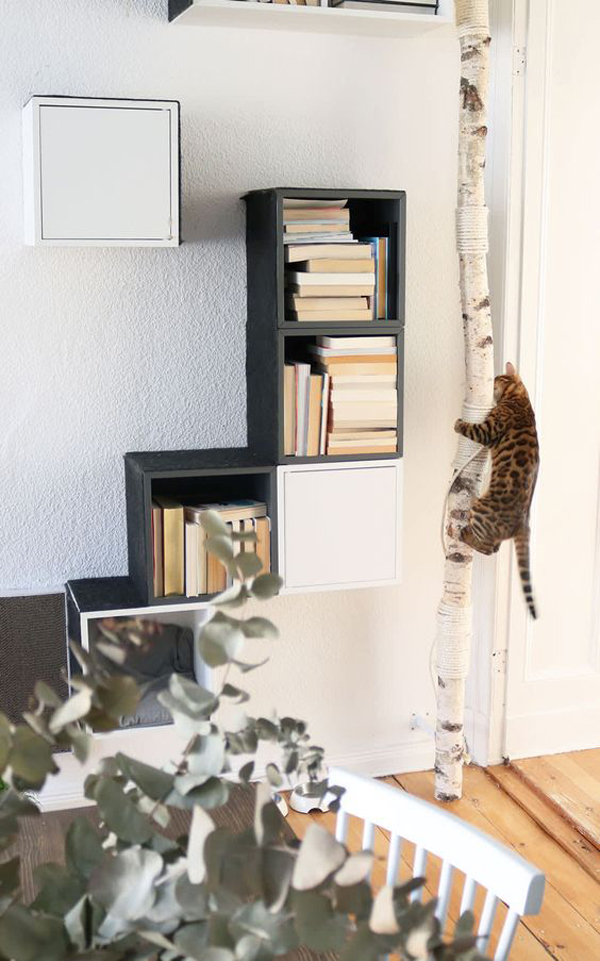 indoor-cat-tree-and-bookcase-play-areas