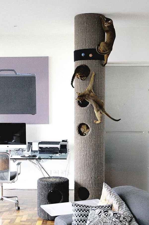 modern-cat-climber-ideas