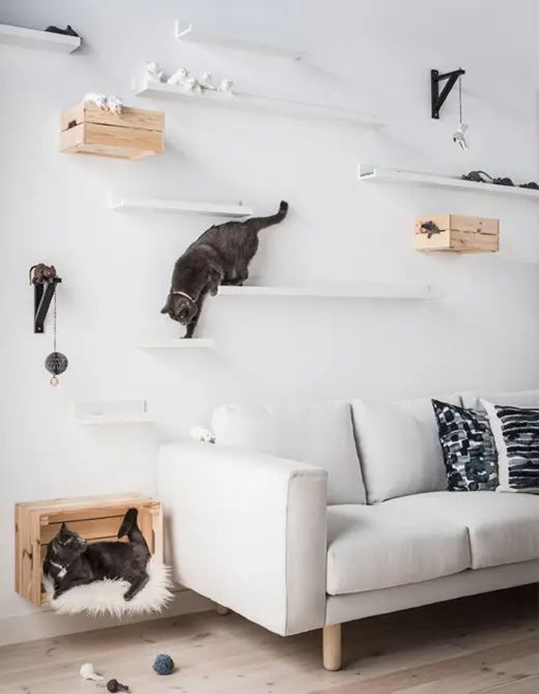practical-cat-wall-climber-in-living-room