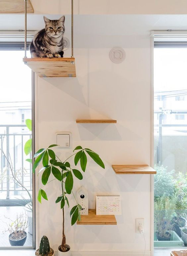 stylish-indoor-cat-playground-ideas