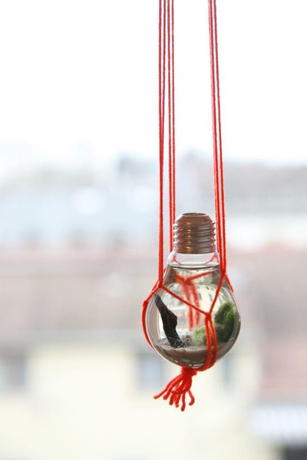 hanging-light-bulb-aquarium-design