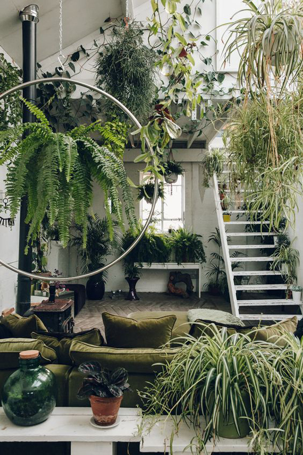11 Beautiful Indoor Garden Ideas For Limited Space