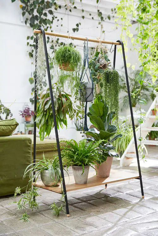 indoor-garden-with-room-divider