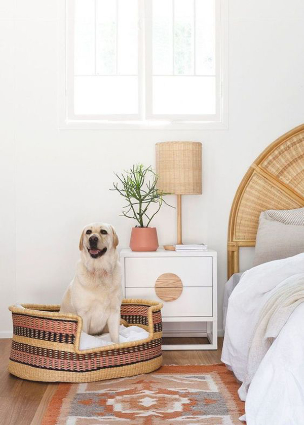 beautiful-dog-basket-in-bedroom